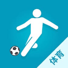 意大利足球的多元化评价与未来展望